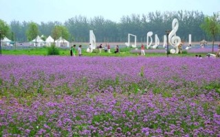 科技苑养肥鱼 【农广天地】孙子故里 果香鱼肥