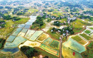 开江短视频制作 开江小镇探索“一村一直播” 电商赋能乡村振兴