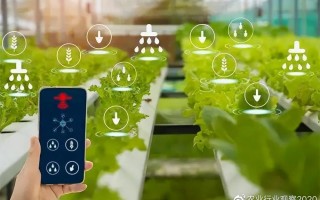 农业短视频制作软件 看看宇宙 APP 在农村市场的推广与应用