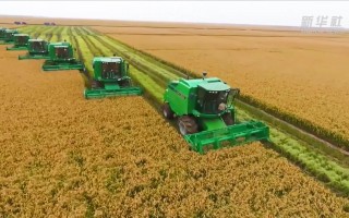 农业短视频制作教程 【2025年乡村全面振兴怎么做】——强化农业科技和装备支撑（视频）