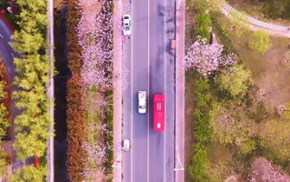 兰考短视频制作 焦影迎春丨短视频展播㉑：三色兰考