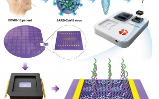 快检技术 推动快检技术迭代升级，他们为农产品质量安全加装“科技锁”