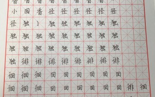 每日打卡短视频制作 坚持每日练字打卡102天