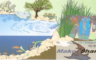 玛鲨科技，玛鲨创意